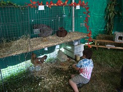 ANIMAL TENT